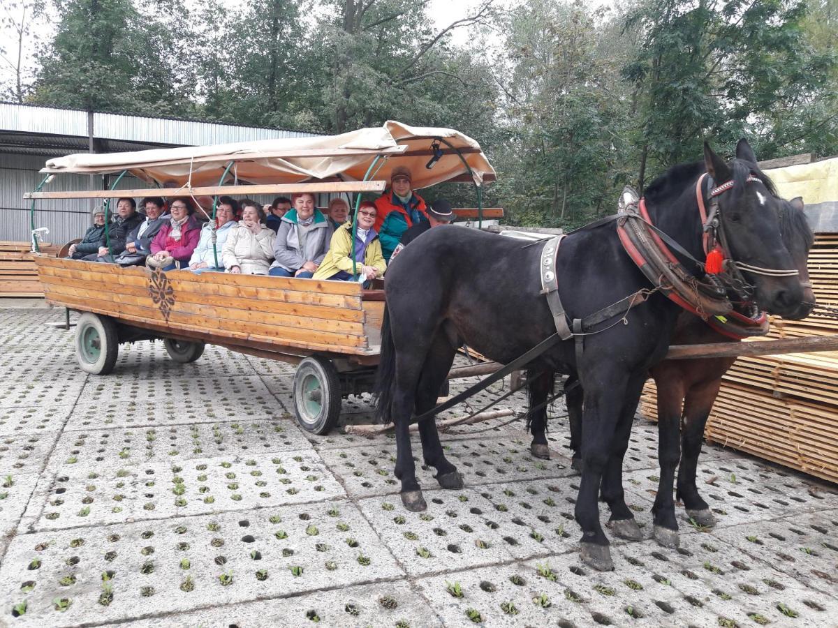 Agroturystyka U Misia Niedźwiedź Dış mekan fotoğraf